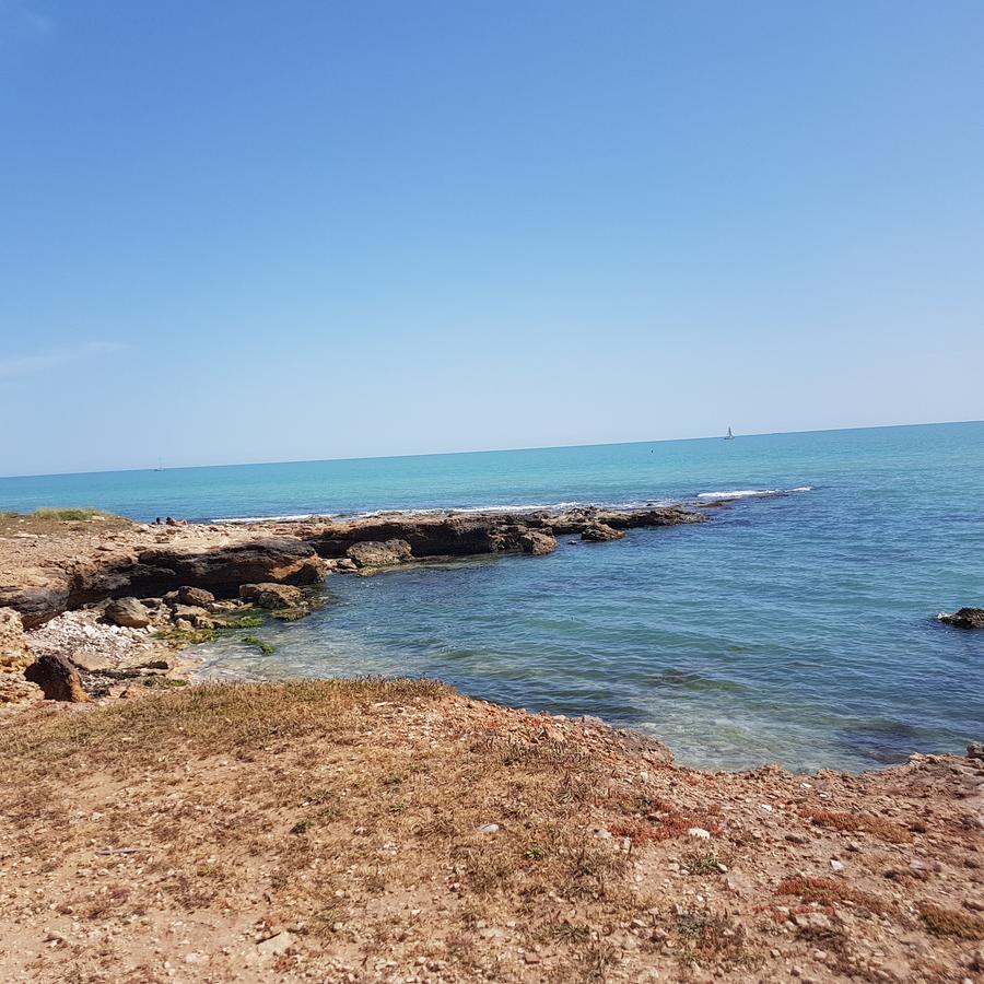 Casa Vacanze Il Giardino Dei Girasoli Marina di Ragusa Ngoại thất bức ảnh